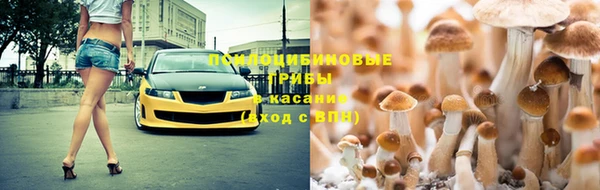 дурь Абинск