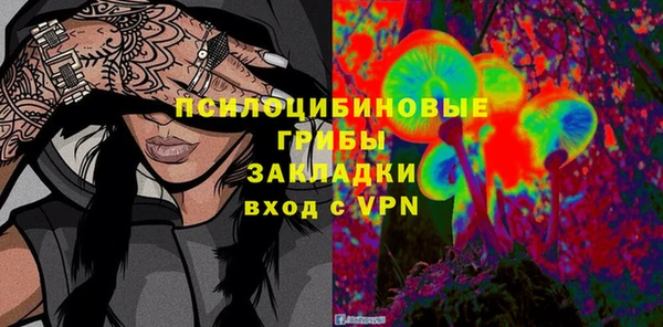 соль ск Алексин